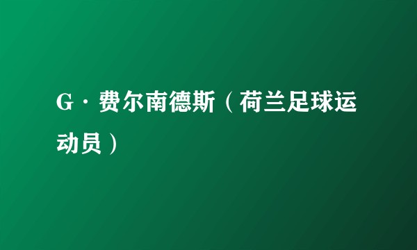 G·费尔南德斯（荷兰足球运动员）