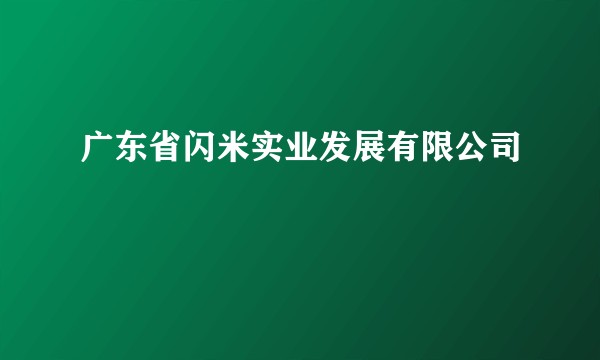 广东省闪米实业发展有限公司