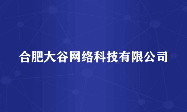 合肥大谷网络科技有限公司