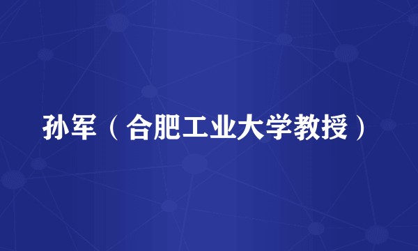 孙军（合肥工业大学教授）