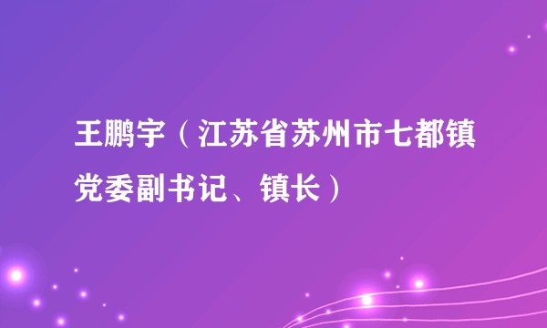 王鹏宇（江苏省苏州市七都镇党委副书记、镇长）