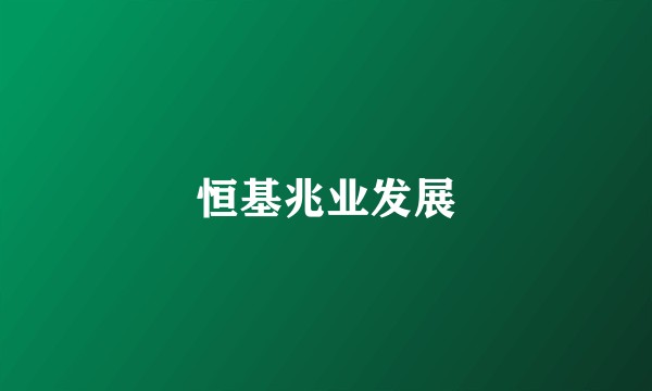 恒基兆业发展