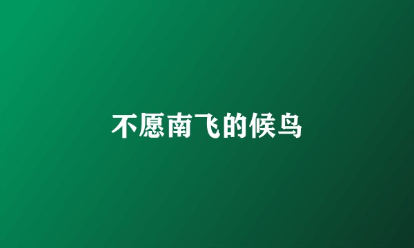 不愿南飞的候鸟