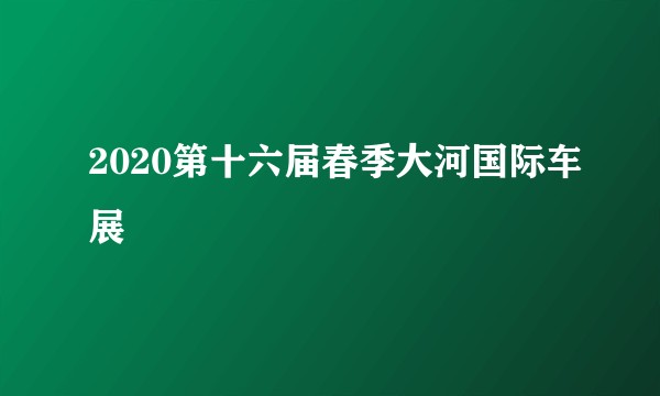 2020第十六届春季大河国际车展