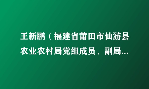 王新鹏（福建省莆田市仙游县农业农村局党组成员、副局长、副主任）