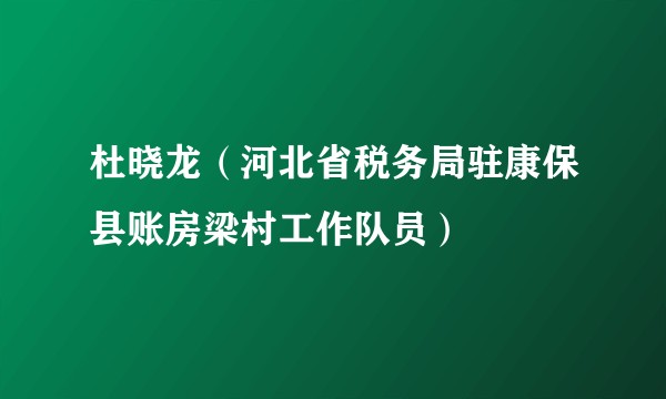 杜晓龙（河北省税务局驻康保县账房梁村工作队员）