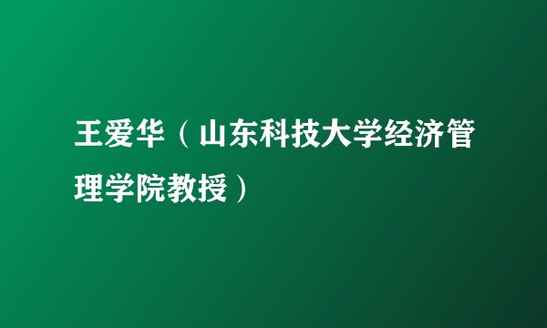 王爱华（山东科技大学经济管理学院教授）