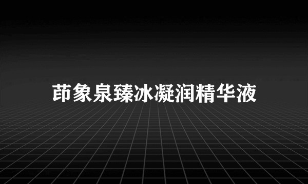 茚象泉臻冰凝润精华液