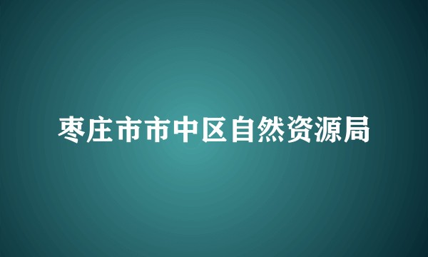 枣庄市市中区自然资源局
