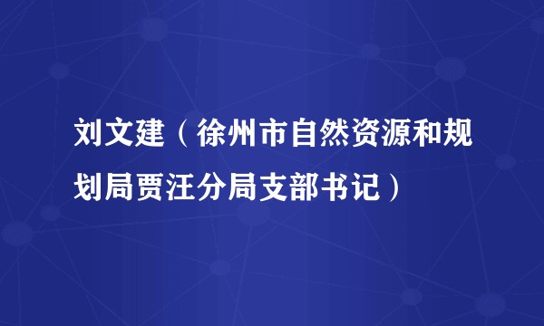 刘文建（徐州市自然资源和规划局贾汪分局支部书记）