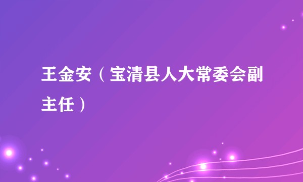 王金安（宝清县人大常委会副主任）