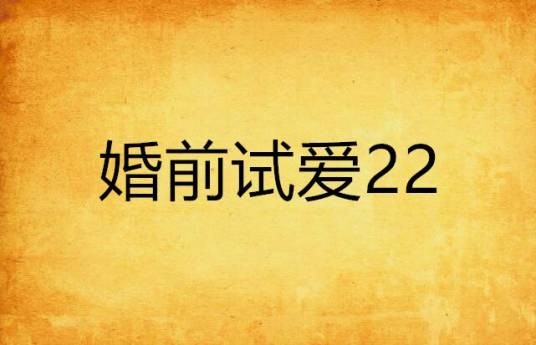 婚前试爱22
