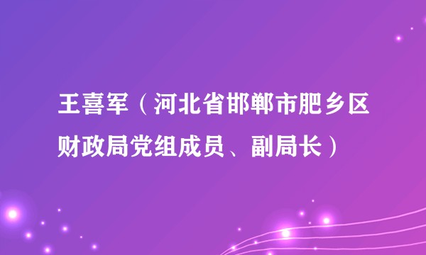 王喜军（河北省邯郸市肥乡区财政局党组成员、副局长）