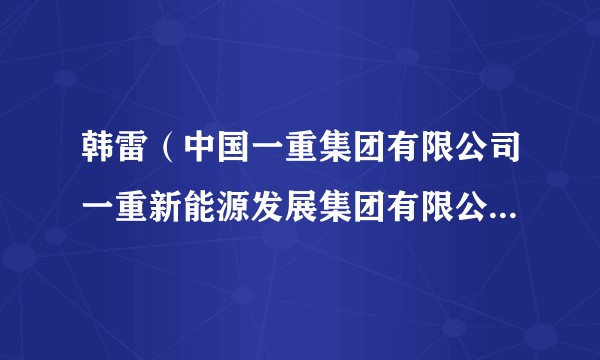 韩雷（中国一重集团有限公司一重新能源发展集团有限公司营销副总监）