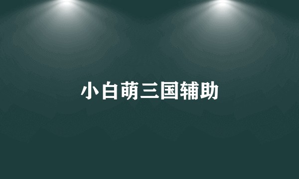 小白萌三国辅助