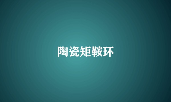 陶瓷矩鞍环