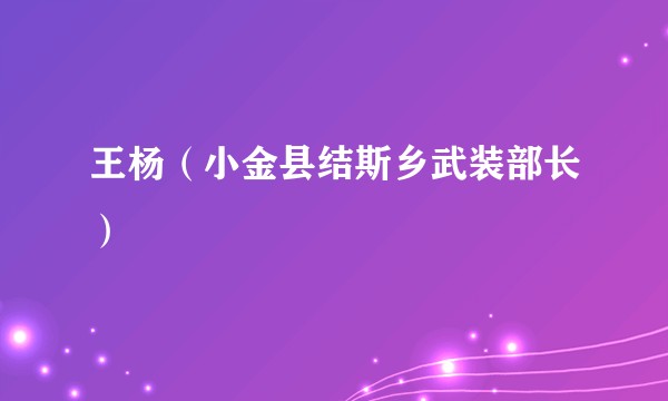 王杨（小金县结斯乡武装部长）