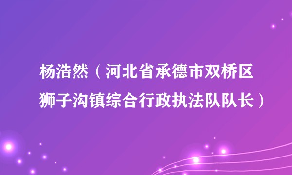 杨浩然（河北省承德市双桥区狮子沟镇综合行政执法队队长）