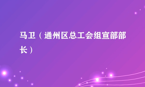 马卫（通州区总工会组宣部部长）