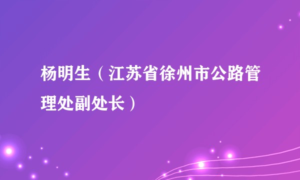 杨明生（江苏省徐州市公路管理处副处长）