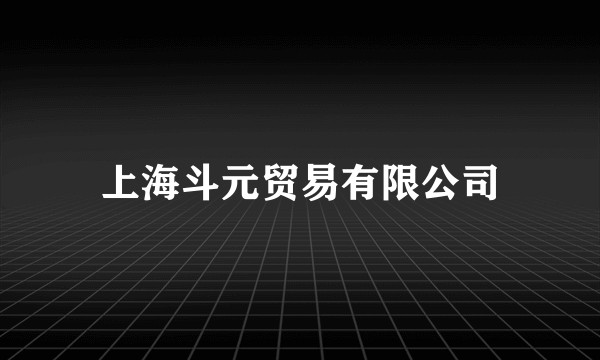 上海斗元贸易有限公司