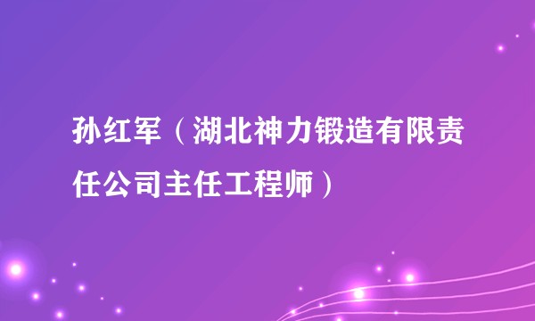 孙红军（湖北神力锻造有限责任公司主任工程师）