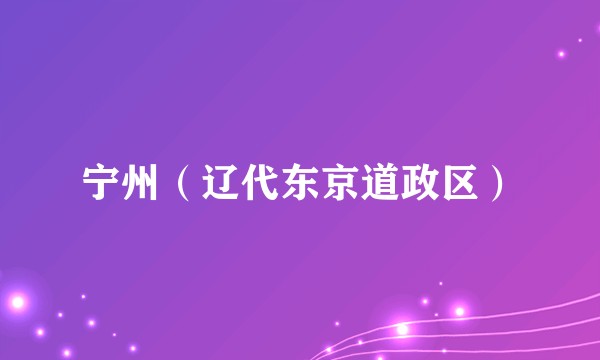 宁州（辽代东京道政区）