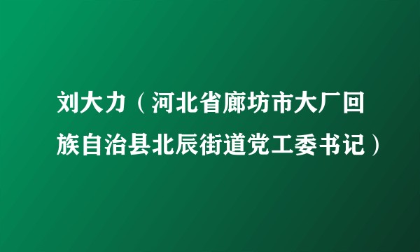 刘大力（河北省廊坊市大厂回族自治县北辰街道党工委书记）