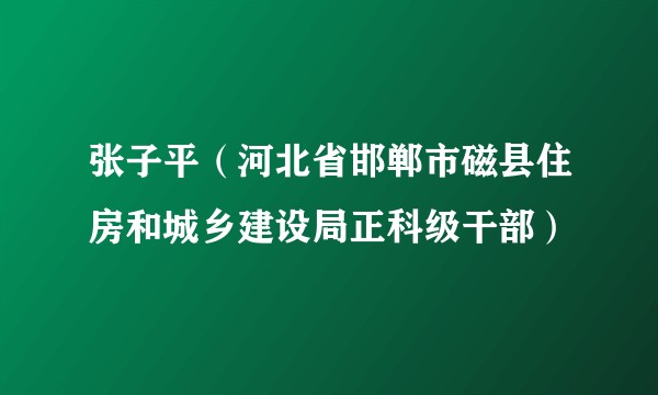 张子平（河北省邯郸市磁县住房和城乡建设局正科级干部）