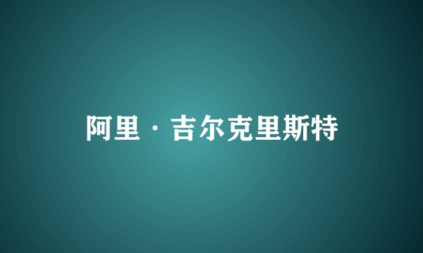 阿里·吉尔克里斯特