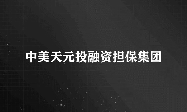 中美天元投融资担保集团