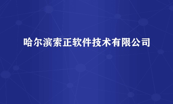 哈尔滨索正软件技术有限公司