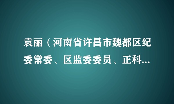 袁丽（河南省许昌市魏都区纪委常委、区监委委员、正科级检查员）