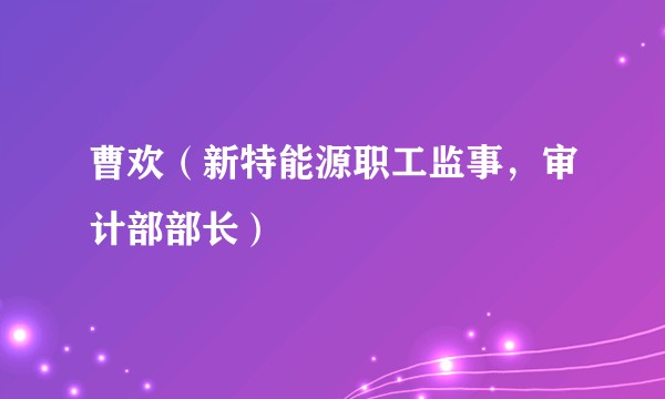曹欢（新特能源职工监事，审计部部长）