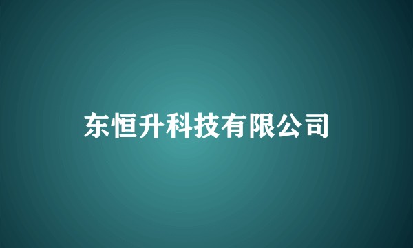 东恒升科技有限公司