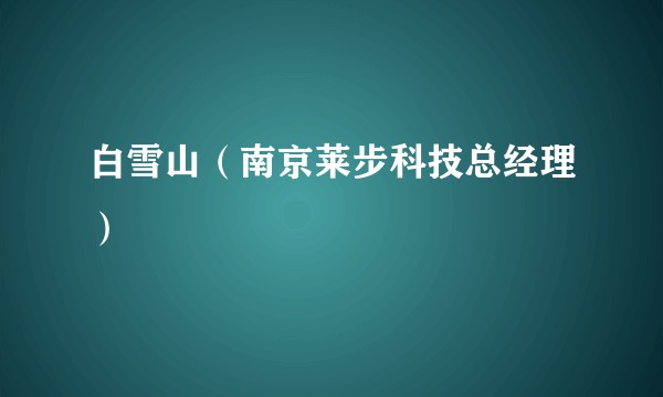 白雪山（南京莱步科技总经理）