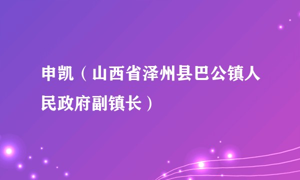 申凯（山西省泽州县巴公镇人民政府副镇长）