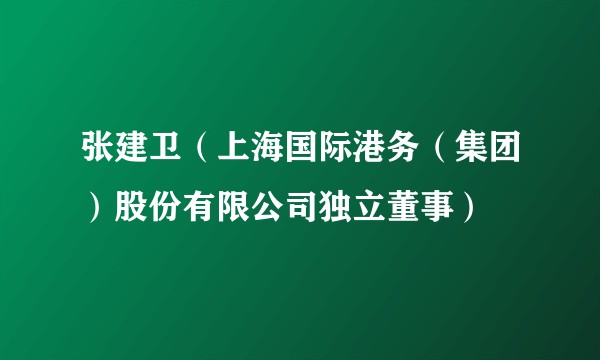 张建卫（上海国际港务（集团）股份有限公司独立董事）