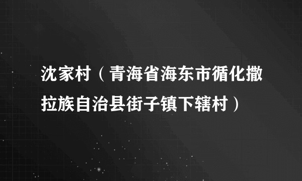 沈家村（青海省海东市循化撒拉族自治县街子镇下辖村）