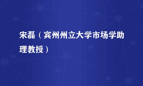 宋磊(宾州州立大学市场学助理教授)
