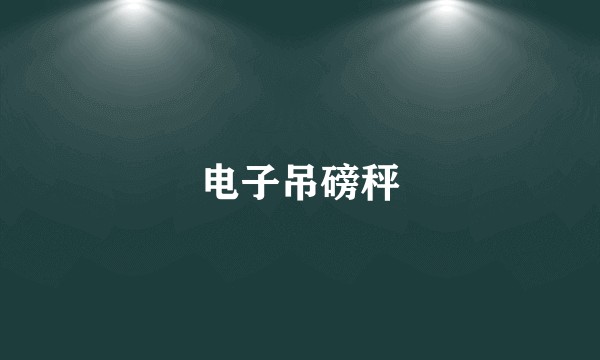 电子吊磅秤