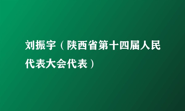 刘振宇（陕西省第十四届人民代表大会代表）
