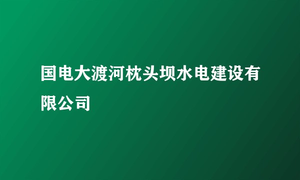 国电大渡河枕头坝水电建设有限公司