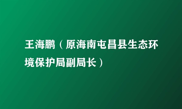 王海鹏（原海南屯昌县生态环境保护局副局长）
