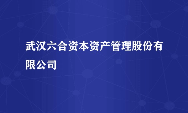 武汉六合资本资产管理股份有限公司
