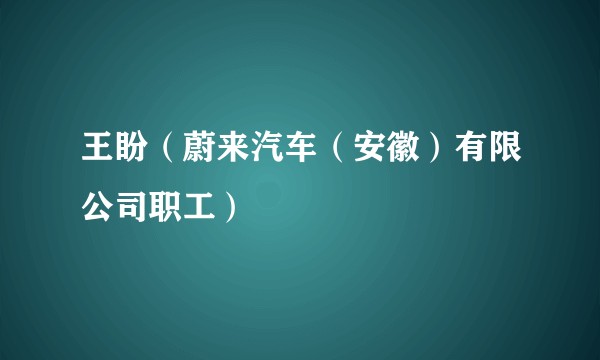 王盼（蔚来汽车（安徽）有限公司职工）