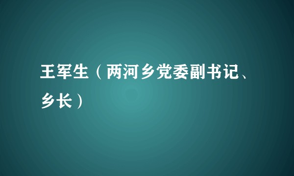 王军生（两河乡党委副书记、乡长）