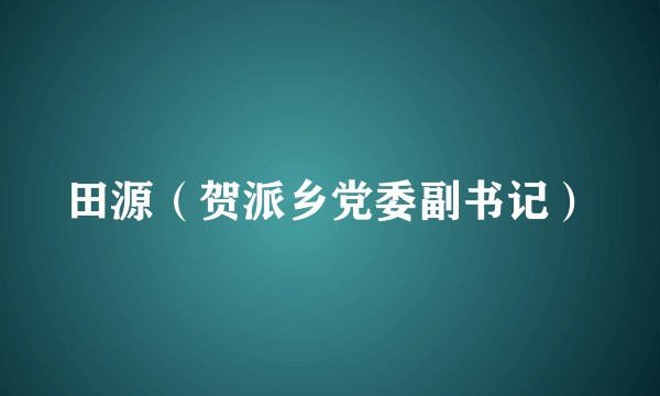 田源（贺派乡党委副书记）