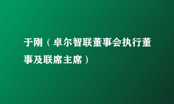 于刚（卓尔智联董事会执行董事及联席主席）
