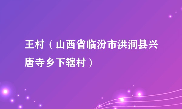 王村（山西省临汾市洪洞县兴唐寺乡下辖村）